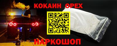 гашик Кинель