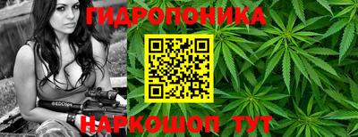 гашик Кинель
