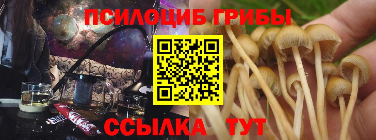 Галлюциногенные грибы MAGIC MUSHROOMS Курчалой