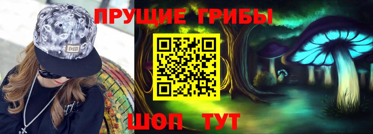 Курчалой  Псилоцибиновые грибы мицелий  закладка  Вход с VPN  Галлюциногенные грибы ЛСД 